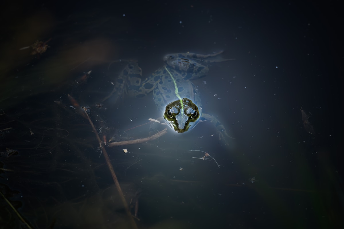 Unlock Your Zodiac’s Power